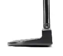 5 toe view.webp