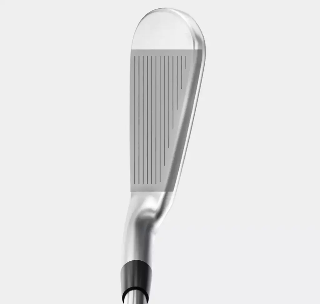 Forged Back View (3).webp