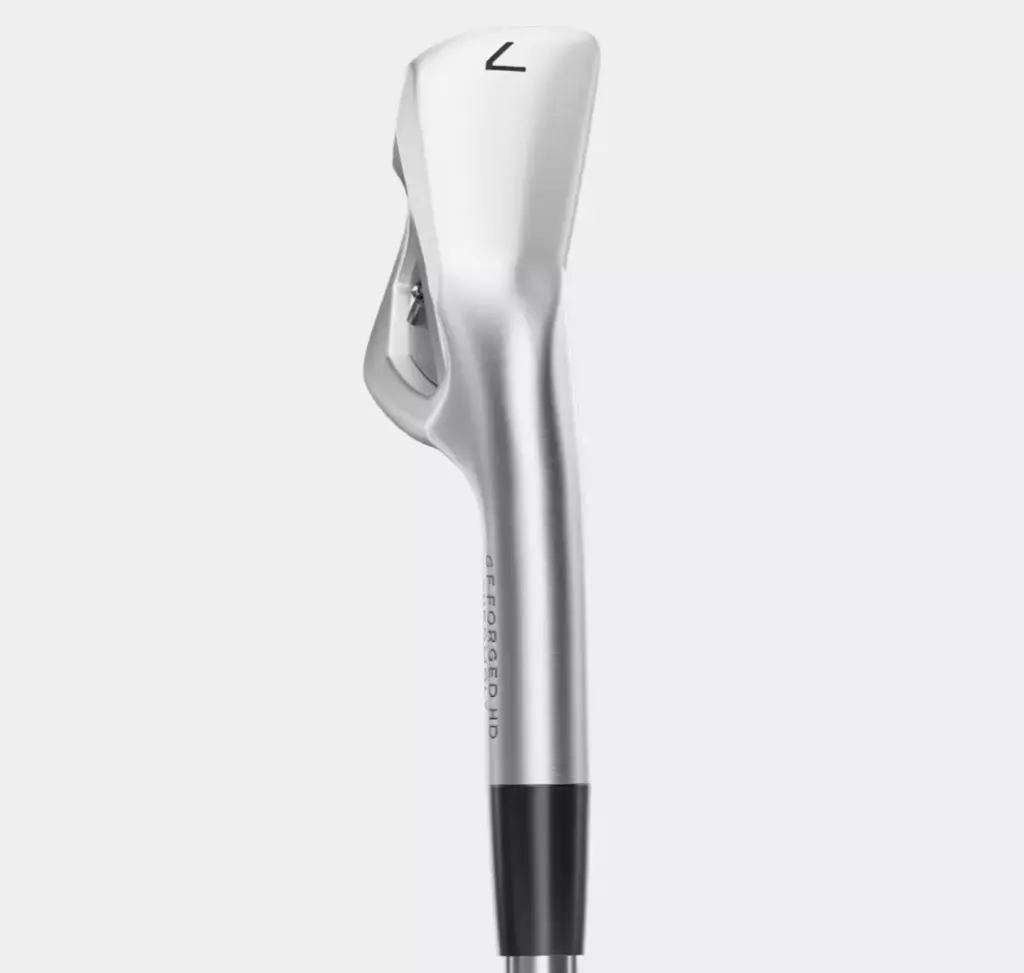 Forged Back View (2).webp